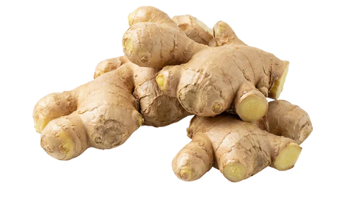 Racine De Gingembre